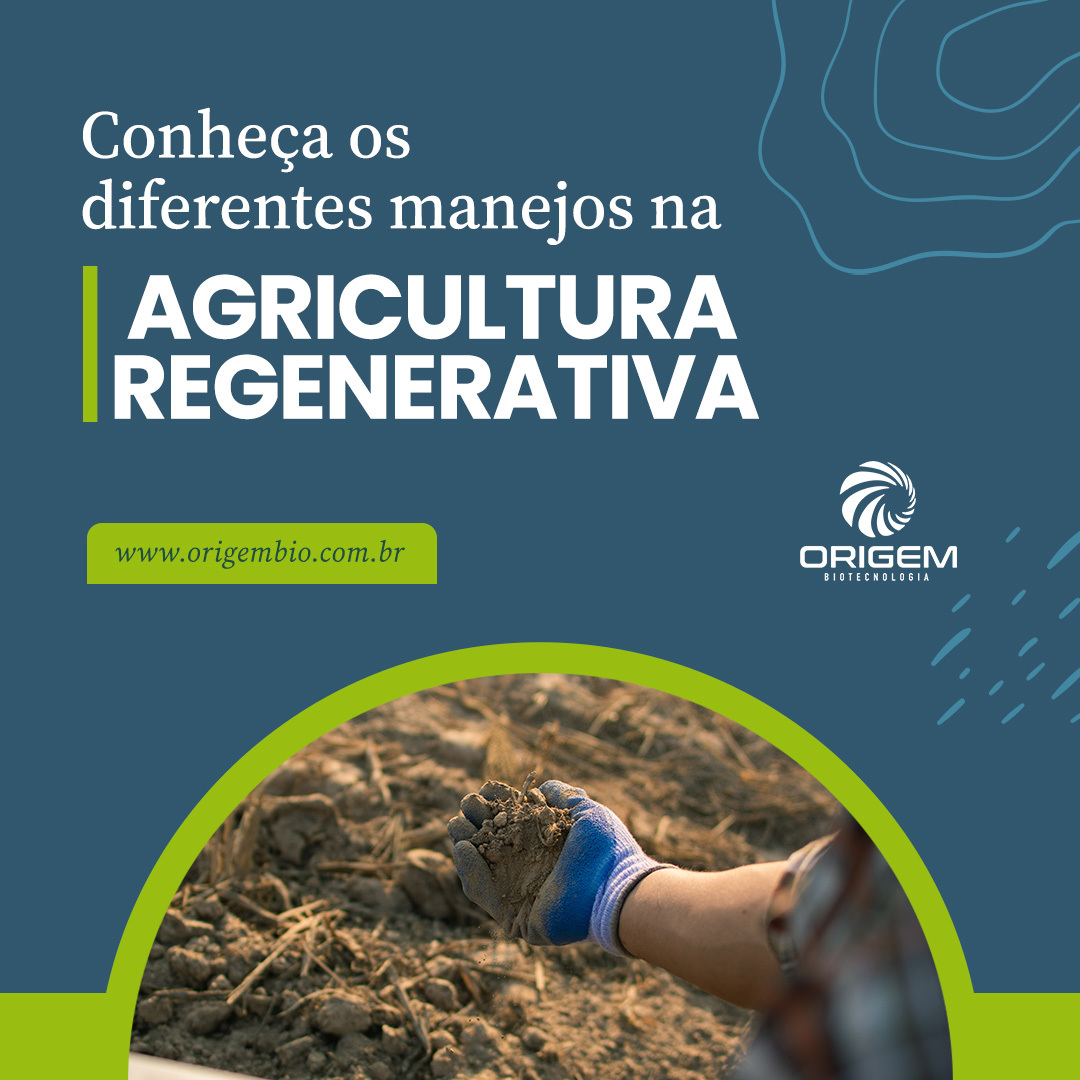 Origem Biotecnologia Ltda
